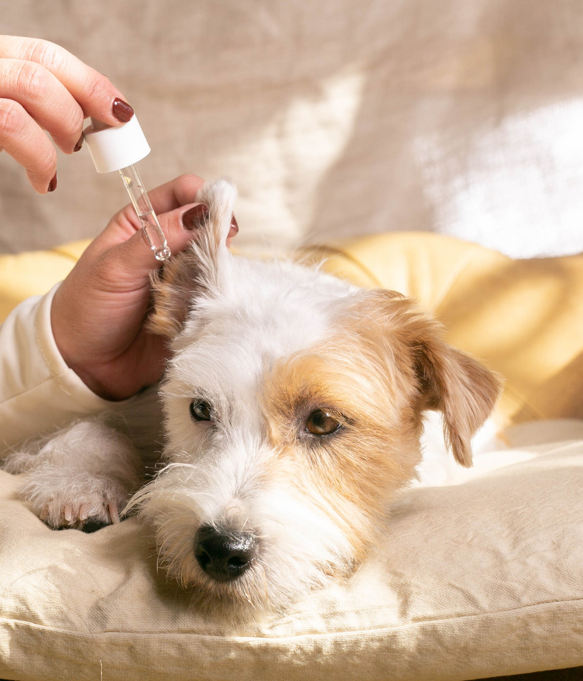 Ear soothing cleaner