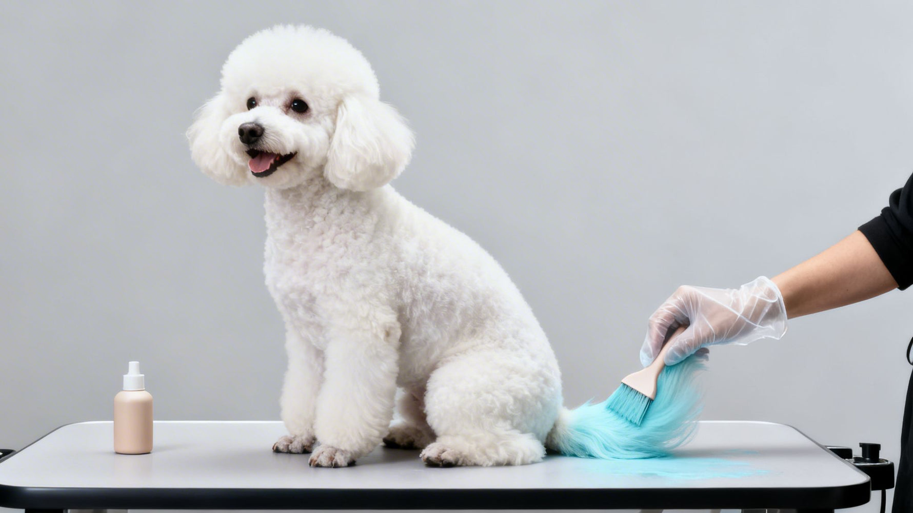 Tinte para perros: Guía de riesgos y alternativas seguras