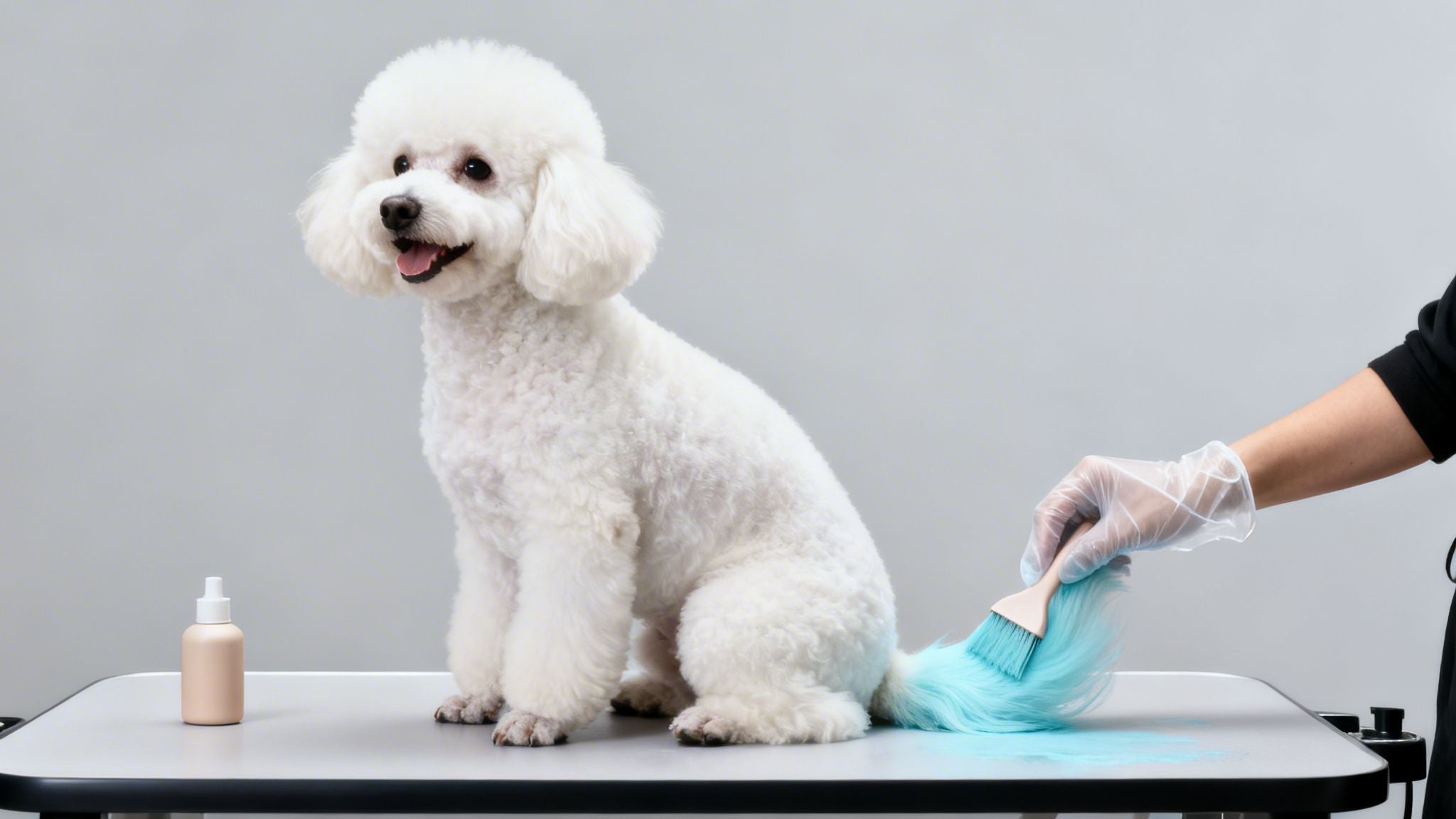 Tinte para perros: Guía de riesgos y alternativas seguras
