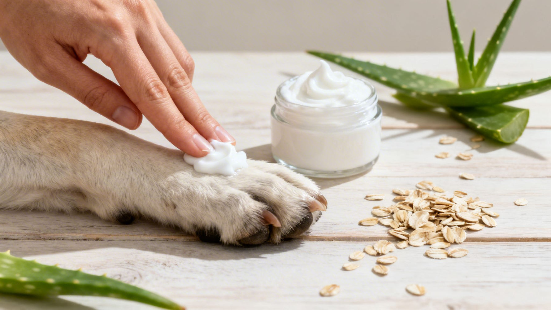 Limpiador patas perros: La guía definitiva para el cuidado de tus peludos