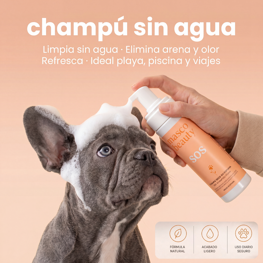 Champú seco para perros: limpia y elimina el mal olor en segundos sin aclarado