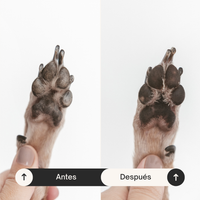 Natural cream for paws, nose and dry areas