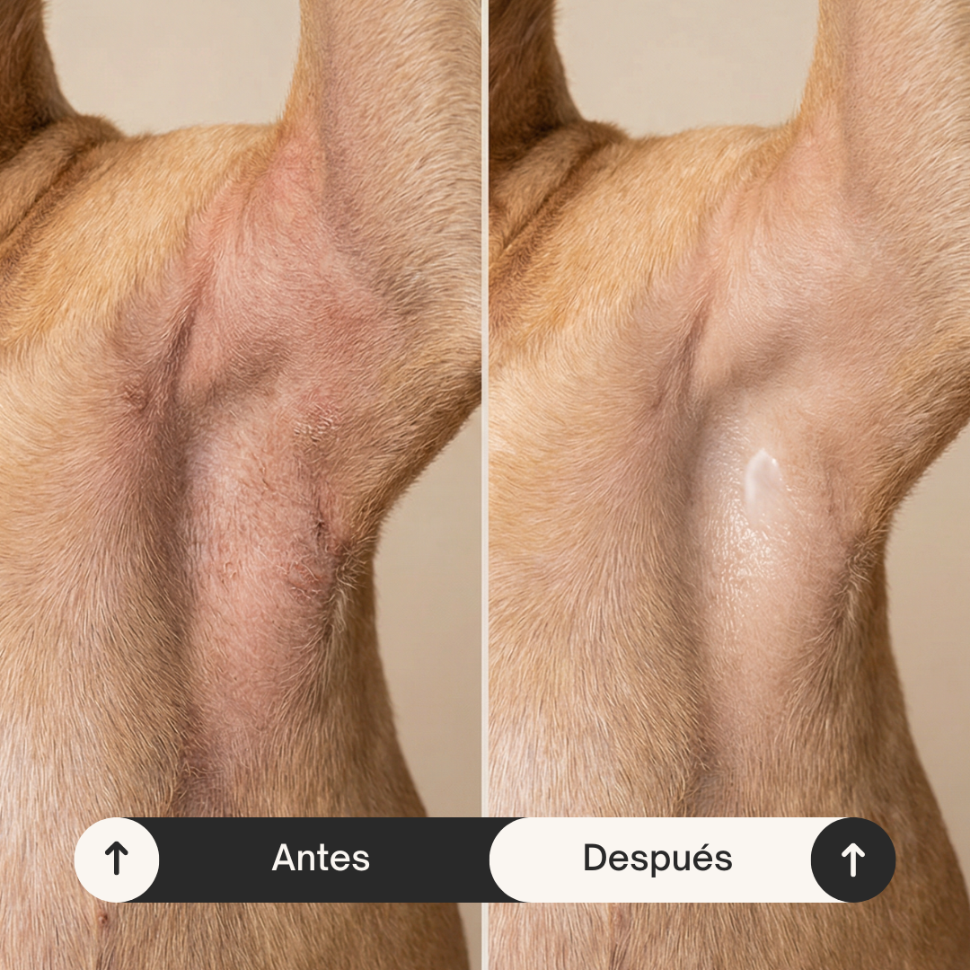 Natural cream for paws, nose and dry areas