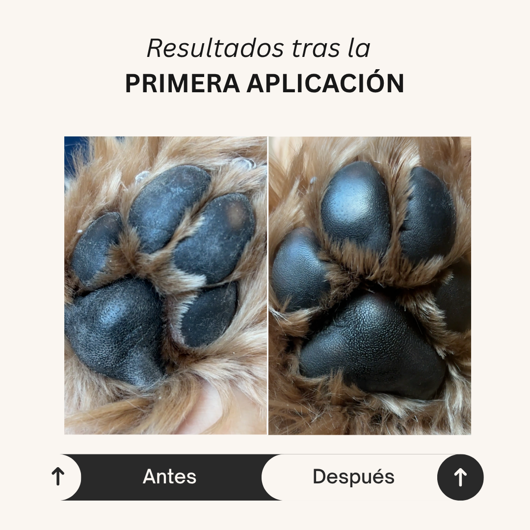 Creamhadillas, muso e aree asciutte