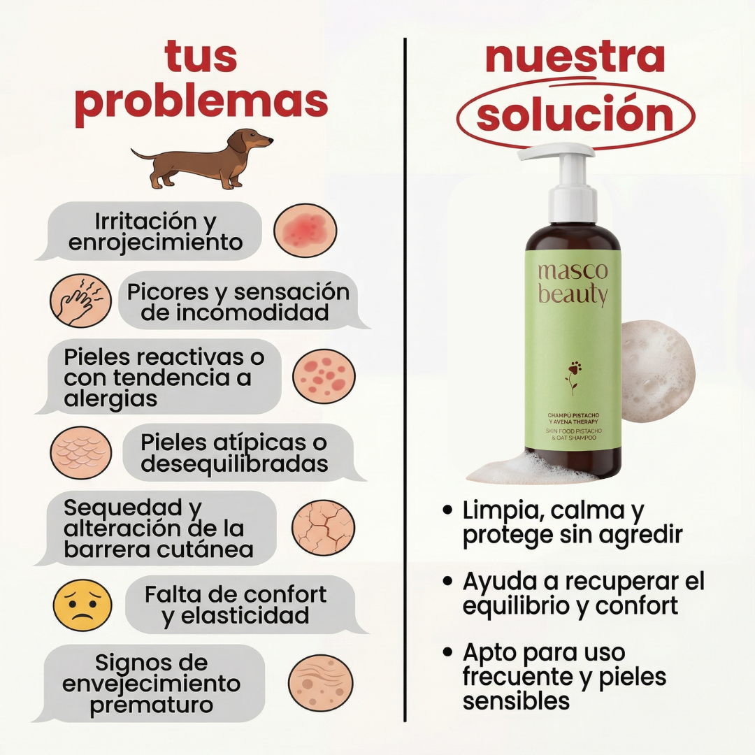 Rutina Antipicores para perros : Piel preparada para la primavera