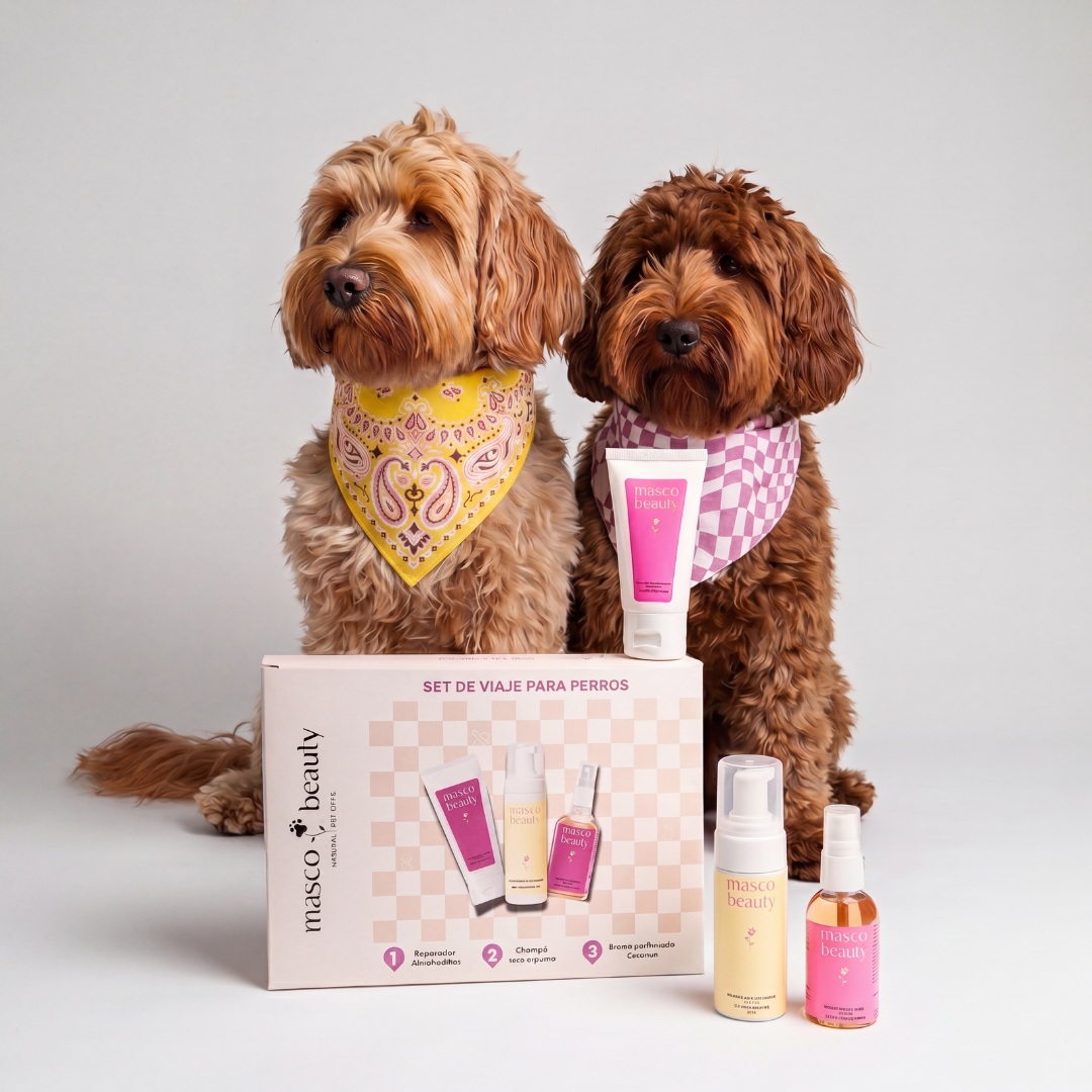 Ensemble de voyage pour chiens