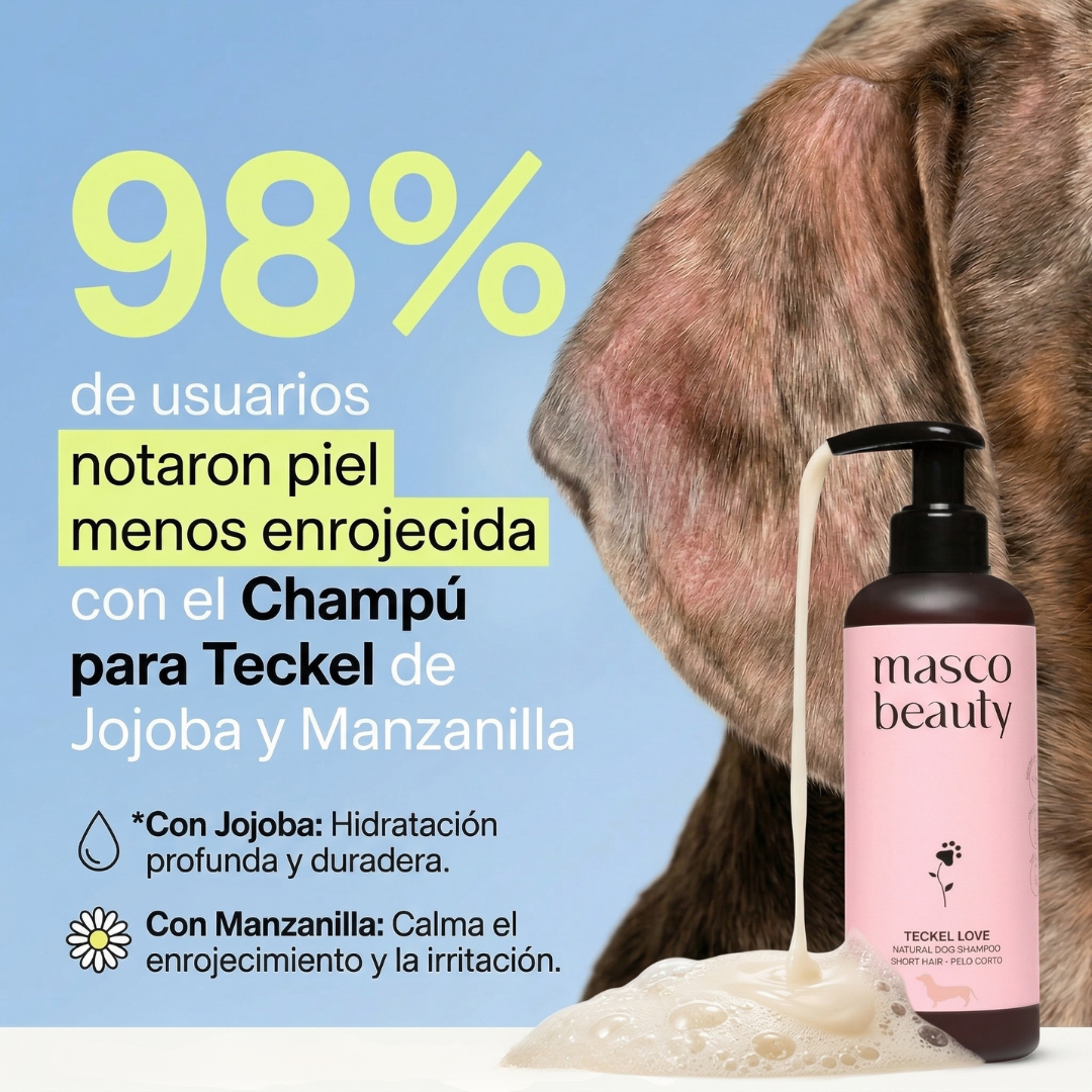 Champú para Teckel pelo corto de Jojoba y Manzanilla