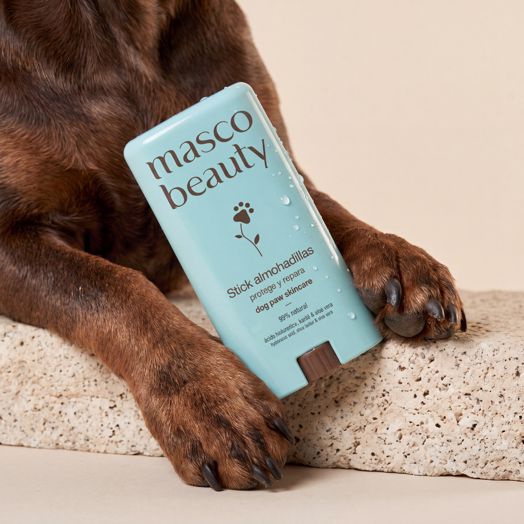 Stick Almohadillas – Protector Diario para Perros