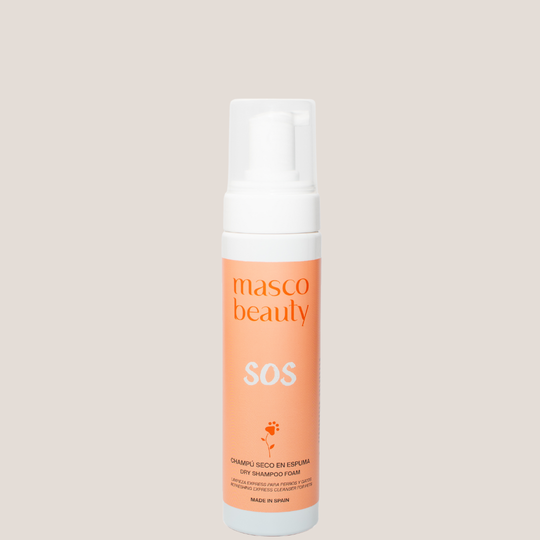 Shampoing sec moussant