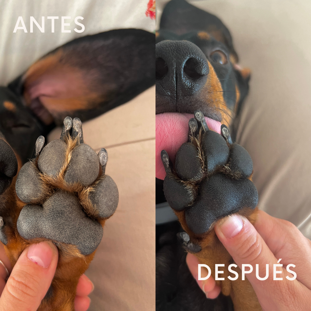 Crema dermatológica de almohadillas para perros