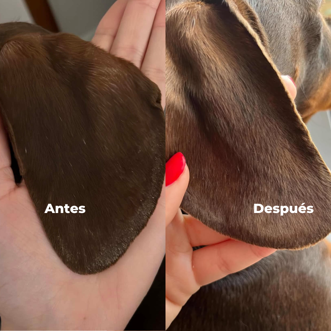 Natural cream for paws, nose and dry areas