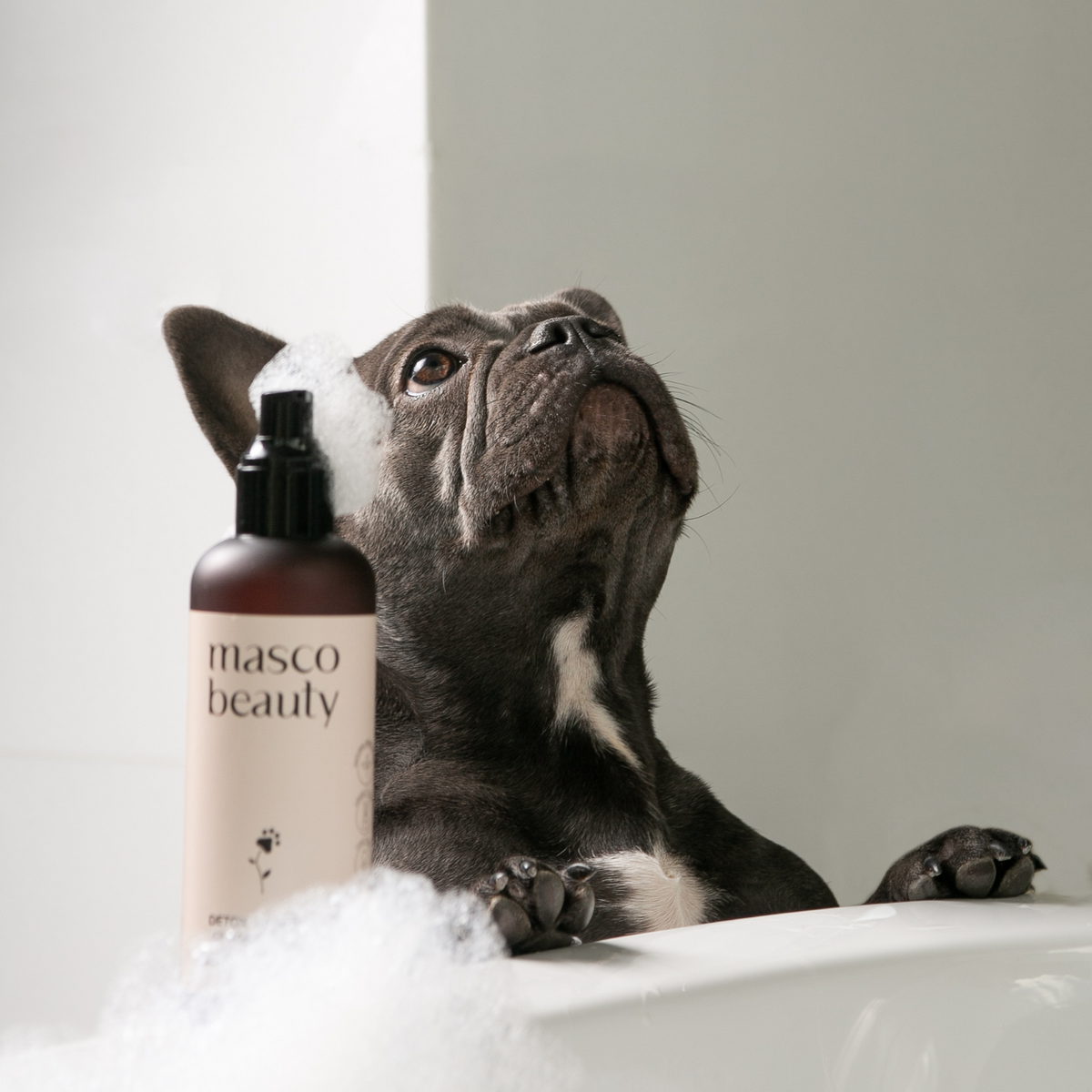 Champú para perros de piel sensible incluido en el pack