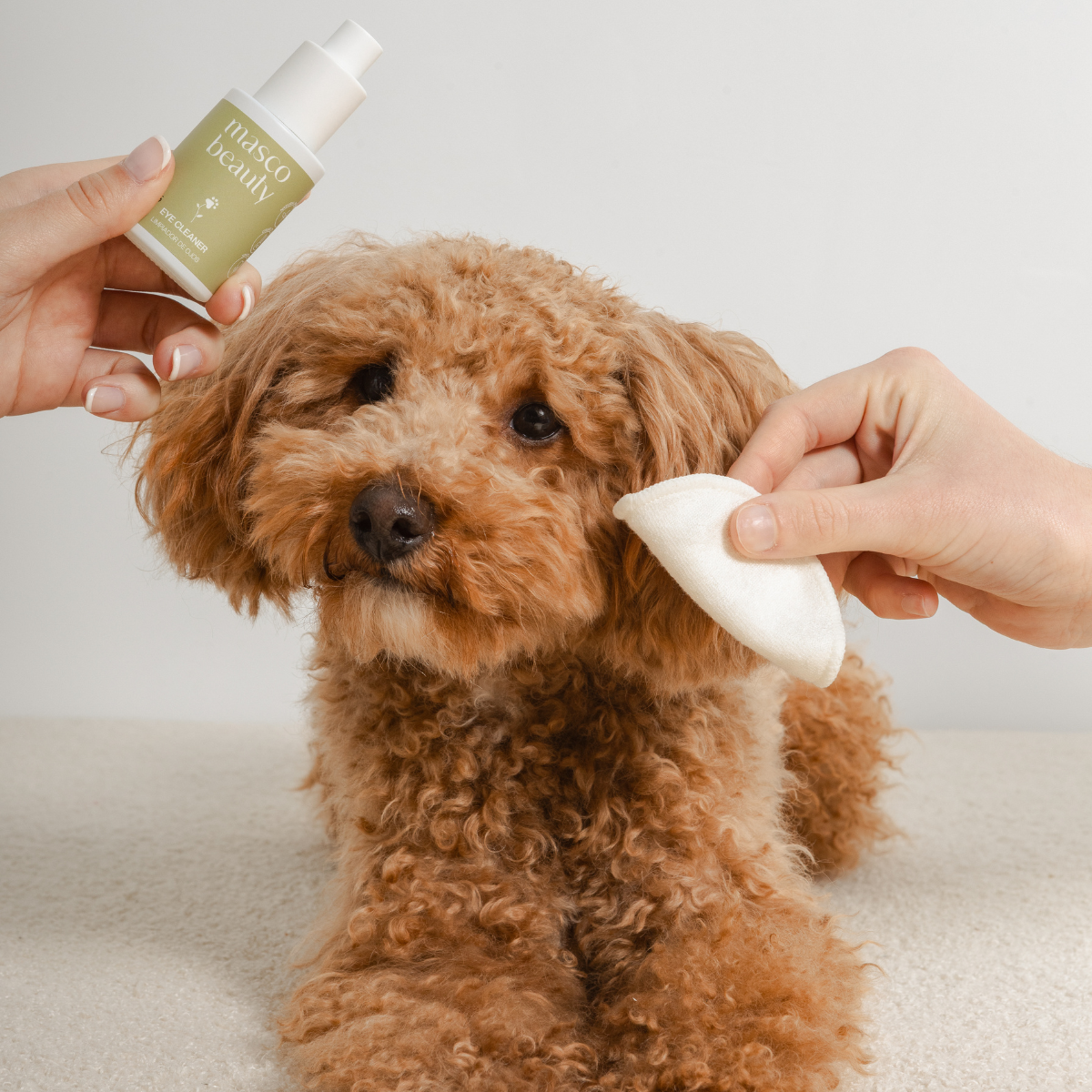 Cleaner oculare e lacrima