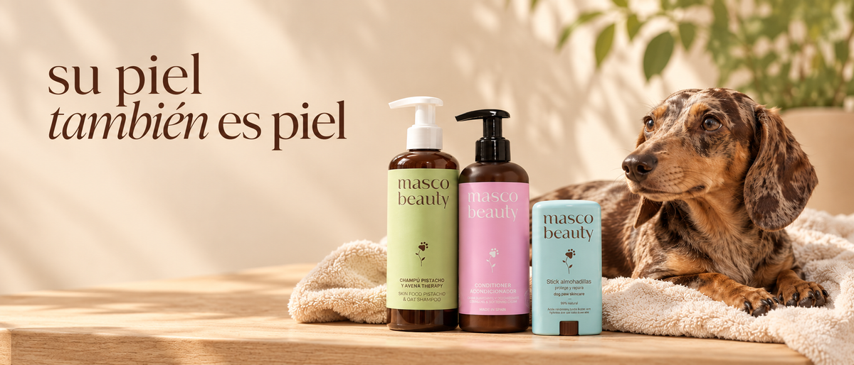 Teckel tumbado sobre una toalla junto al champú de pistacho, el acondicionador y el stick de almohadillas de Masco Beauty